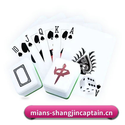 专业赛事服务, 为你而来